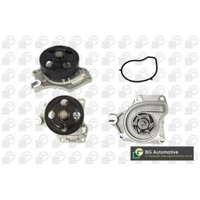 Osta Vesipumppu BGA:llä CP7274T edullisesti hintaan 56,07 €