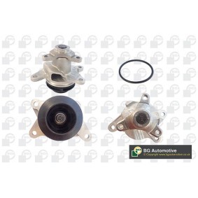Achetez des Pompe à eau BGA CP7302 à prix pour 73,62 €