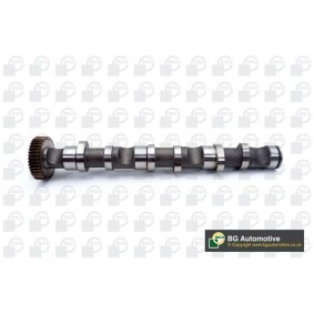 Acquista Albero a camme da BGA CS1521 a buon mercato per soli 182,54 €