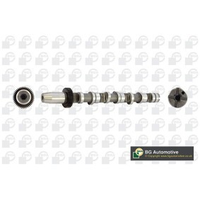 Acquista Albero a camme da BGA CS1524 a buon mercato per soli 182,54 €
