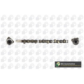 Acquista Albero a camme da BGA CS3379 a buon mercato per soli 144,91 €