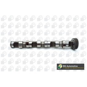 Acquista Albero a camme da BGA CS3594 a buon mercato per soli 171,37 €
