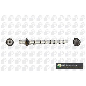 Acquista Albero a camme da BGA CS5531 a buon mercato per soli 148,80 €