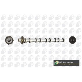 Acquista Albero a camme da BGA CS5538 a buon mercato per soli 148,80 €
