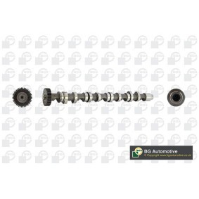 Acquista Albero a camme da BGA CS9612 a buon mercato per soli 130,39 €