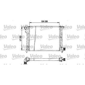 Achetez des Radiateur du moteur VALEO 730569 à prix pour 113,70 €
