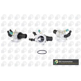 Achetez des Thermostat d'eau BGA CT5059 à prix pour 42,95 €