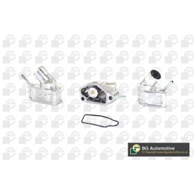 Achetez des Thermostat d'eau BGA CT5140 à prix pour 62,35 €