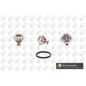 Achetez des Thermostat d'eau BGA CT5276 à prix pour 61,66 €