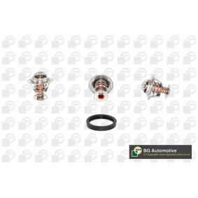Achetez des Thermostat d'eau BGA CT5441K à prix pour 23,79 €