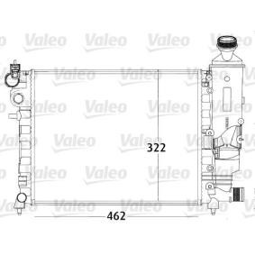 Achetez des Radiateur du moteur VALEO 731498 à prix pour 87,18 €