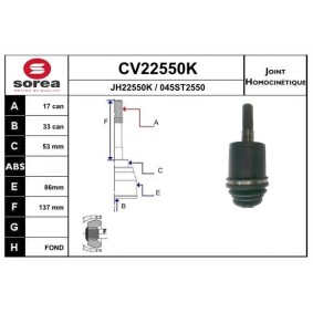 Gelenksatz, Antriebswelle CV22550K