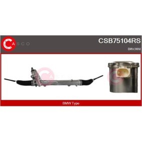 Scheibenreinigungsanlage CWS30109GS