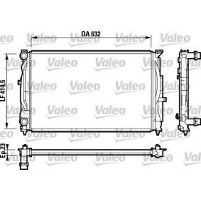 Achetez des Radiateur du moteur VALEO 732811 à prix pour 125,10 €