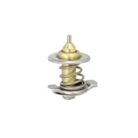 Thermostat von THERMOTEC für MASSIF Station Wagon günstig online kaufen
