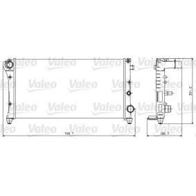 Achetez des Radiateur du moteur VALEO 734924 à prix pour 88,29 €