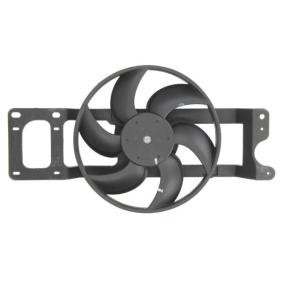 Kühlerlüfter D8R008TT von THERMOTEC günstig für 41,95 € online kaufen