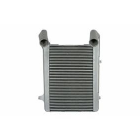 Köp Intercooler av THERMOTEC DADA002TT till det låga priset 7080,50 kr
