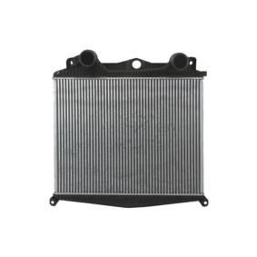 Köp Intercooler av THERMOTEC DAMA006TT till det låga priset 7331,92 kr