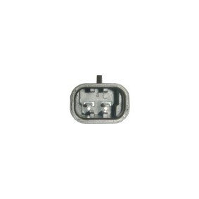 Lichtmaschine 746063
