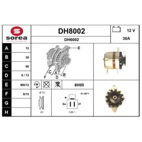 Kjøp Dynamo av SNRA DH8002 til den lave prisen 1726,27 NOK