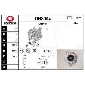 Kjøp Dynamo av SNRA DH8004 til den lave prisen 1726,27 NOK