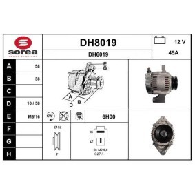Lichtmaschine DH8019