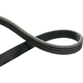 Keilrippenriemen von KAVO PARTS