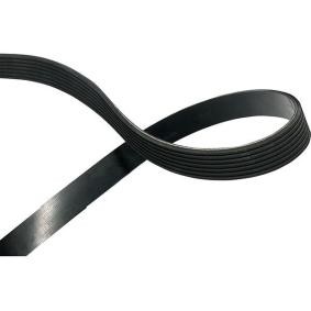 Achetez des Courroie Poly-V KAVO PARTS DMV-6539 à prix pour 32,67 €