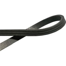 Keilrippenriemen von KAVO PARTS