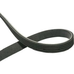 Keilrippenriemen von KAVO PARTS