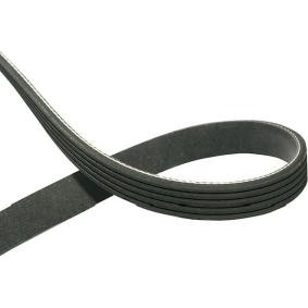 Keilrippenriemen von KAVO PARTS