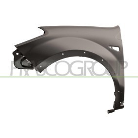 Motorhaube DS0023100