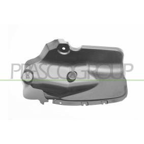 Kotflügel DS2693003