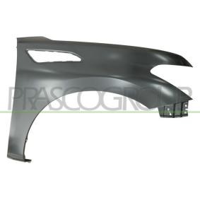 Kotflügel DS8683013