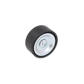 Umlenkrolle Keilrippenriemen E2B0057BTA MINI PACEMAN von BTA
