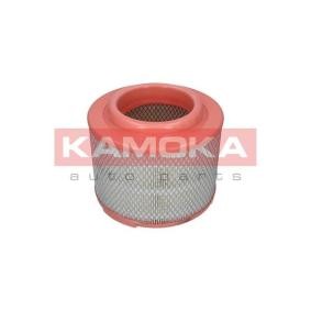 Luftfilter F236201
