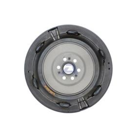 Schwungrad FDM-903
