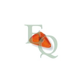 Køb Blinklys af EQUAL QUALITY FL0077 til den lave pris 77,28 DKK