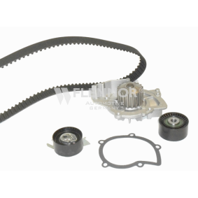 Achetez des Kit de distribution + pompe à eau FLENNOR FP04595V à prix pour 146,40 €