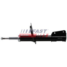 Stoßdämpfer FT11102