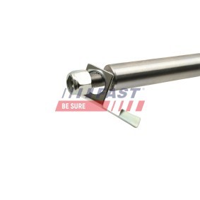 Stoßdämpfer FT11313