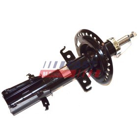 Stoßdämpfer FT11582 von FAST günstig für 64,15 € online kaufen