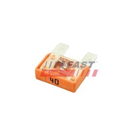 Acquista Galoppino guidacinghia, cinghia Poly-V da FAST FT44552 a buon mercato per soli 8,41 €