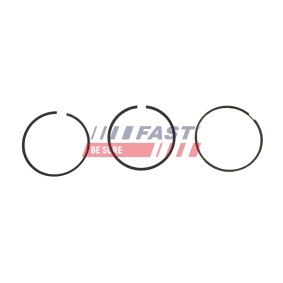 Achetez des Radiateur du moteur FAST FT55004 à prix pour 47,36 €