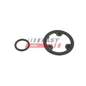 Achetez des Pompe à eau FAST FT57108 à prix pour 24,84 €