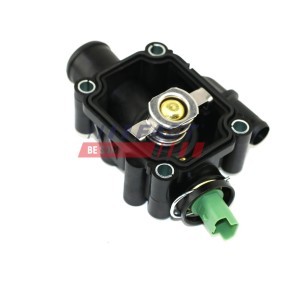 Achetez des Thermostat d'eau FAST FT58181 à prix pour 17,66 €