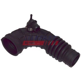 Ansaugschlauch, Luftfilter FT61714