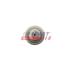 Osta Hela, valitsin / siirtotanko FAST:llä FT62433 edullisesti hintaan 3,34 €