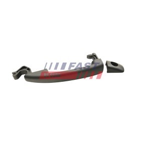 Türgriff FT94541
